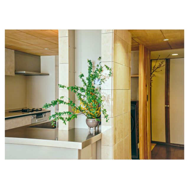 ◻︎project:1/6 Renovation -a room in SAGINUMA-

築34年のマンションにおける、部分リノベーションである。
明るいキッチンカウンターを作り、洗面ボウルを２つにしたい。
施主からの要望は、暮らしのユーティリティ改善だった。

既存建物は南北に伸びた平面プランで、南側には緑が見える窓があった。ここから入る光を、部屋の奥まで通すことを考え、シンク、コンロ、家電、洗濯機、などの家事要素を、小さく分散させながら、造作に組込むことにした。
マンション全体は、バブル期らしい装飾性のある設えで、真鍮や大理石が用いられていた。そうした文脈に添い、コーラルの石やステンレス、木ルーバーや和紙、タイルといった素材を割り付けながら空間を構成した。こうして陰影のある路地のような空間が生まれ、部分改修でありながら、既存と新設が互いに溶け込み、部屋全体が魅力的になることを目指した。
物の値段も、建設費も日々、高値が更新されていく中で、老若男女が暮らしのチューニングを諦めず、小さな一歩を踏み出す。今あるものを活かしながら、暮らしをupdateする。
そんな方法が広まると嬉しいなと思いながら設計した。

Designer：NYAWA
Completion： February, 2026
Photo：AYATO OZAWA
Manufacture：E-KEN